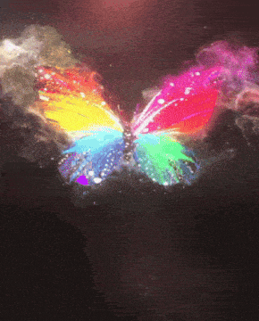 a colorful butterfly is flying in the dark