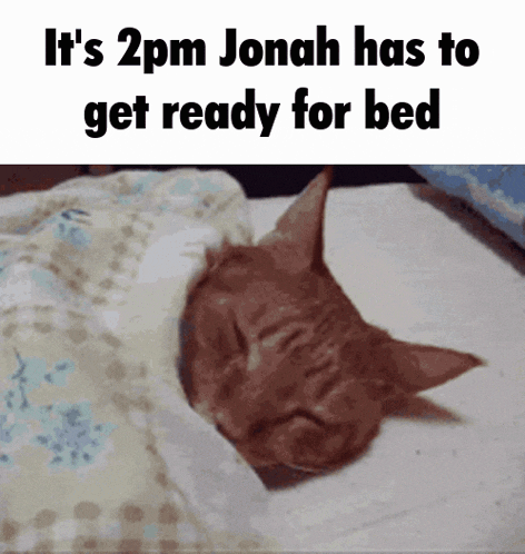 Jonah Sleepy GIF - Jonah Sleepy Cat GIFs