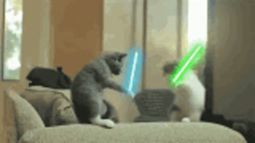 Cats Fighting GIF - Cats Fighting Lightsaber GIFs