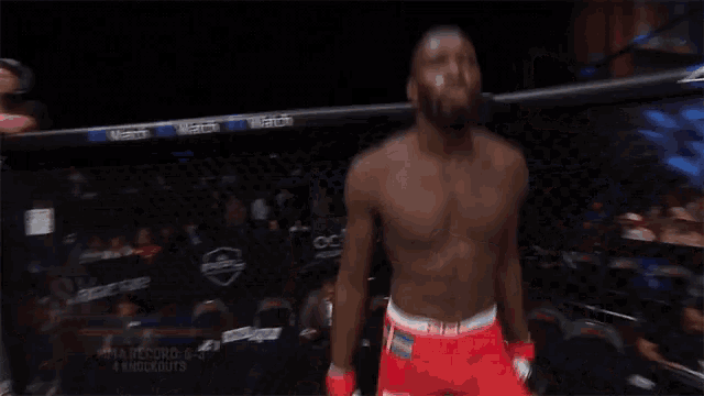 a fighter in a cage with the name sadibou s on the bottom