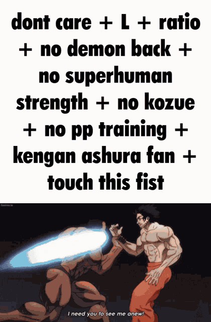 a poster that says dont care l + ratio + no demon back + no superhuman strength + no kozue + no pp training