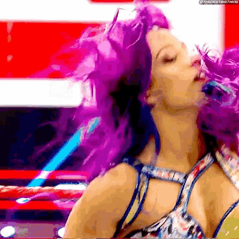 Sasha Banks Faceoff GIF - Sasha Banks Faceoff Ronda Rousey GIFs