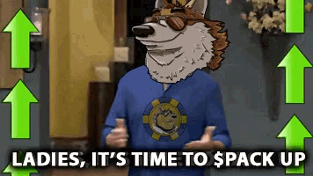 a cartoon of a wolf wearing sunglasses and a blue shirt says ladies it 's time to pack up