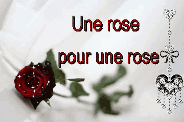 a picture of a red rose with the words une rose pour une rose