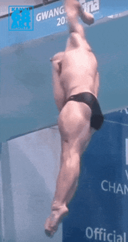a man in a black swim trunks is diving into a pool