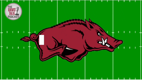 a picture of a boar on a football field with the words safety above it
