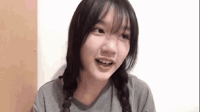 a young girl with braids is smiling and looking at the camera while wearing a gray shirt .