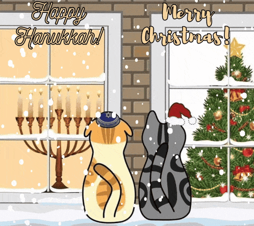 a happy hanukkah and merry christmas greeting card with two cats