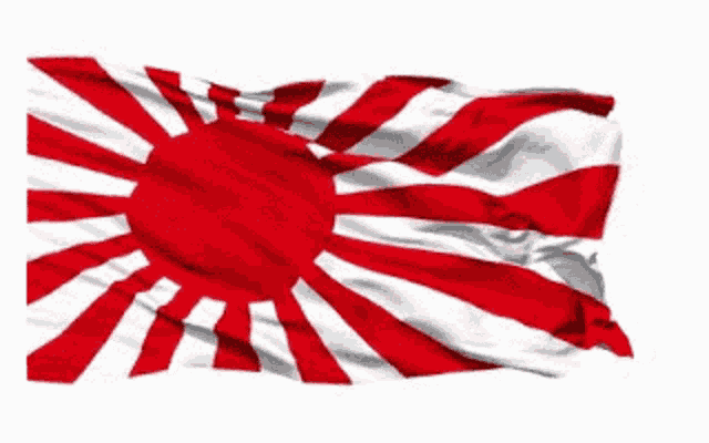 a red and white flag with the sun in the center