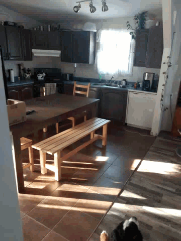 a kitchen with a picnic table and a dog on the floor
