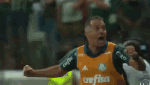 Palmeiras Eb GIF - Palmeiras Eb GIFs
