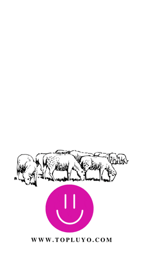 a picture of sheep with the words kurban bayraminiz