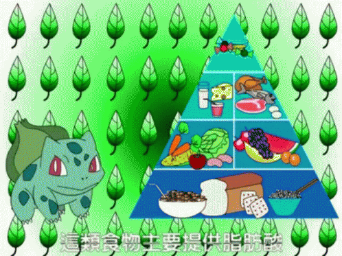 營養百分百 A Nutritious Diet GIF - 金字塔pyramid Food Pyramid食物金字塔 GIFs