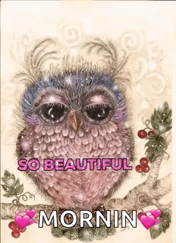 a painting of an owl on a tree branch with the words `` so beautiful morning '' written on it .