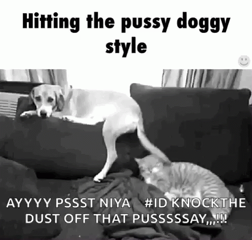 Funny Animals Doggystyle GIF - Funny Animals Doggystyle Tail GIFs