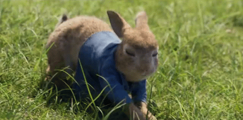 Crawling Peter Rabbit GIF - Crawling Peter Rabbit Peter Rabbit2 GIFs