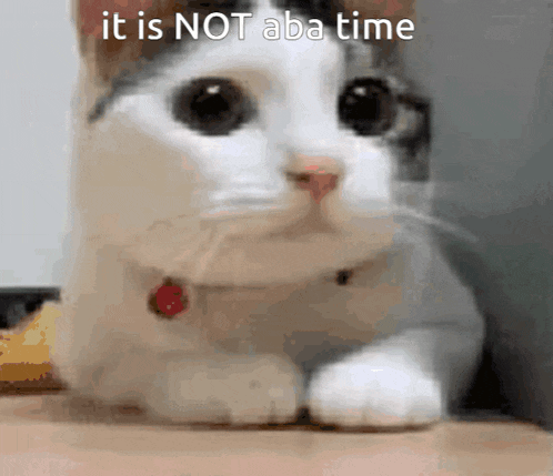 a close up of a cat with the words it is not aba time on the bottom