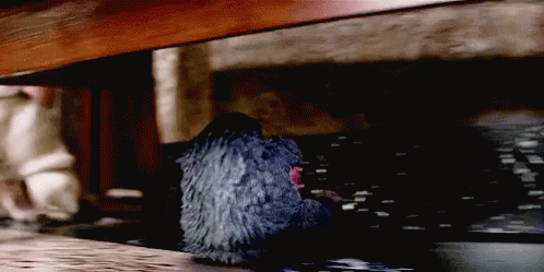 Round And Round GIF - Niffler Fantastic Beasts And Where To Find Them Spinning GIFs