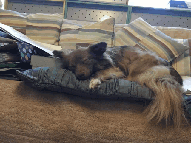 a dog is sleeping on a pillow on a bed