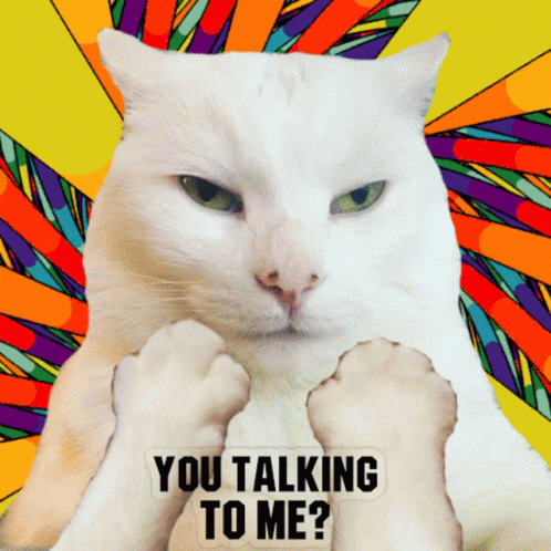 Smudge Cat Smudge Cat You Talking To Me GIF - Smudge Cat Smudge Cat You Talking To Me You Talking To Me GIFs