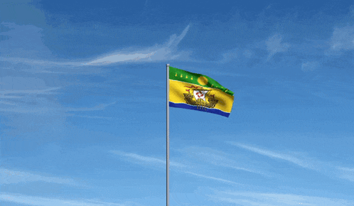 a yellow green and blue flag with a coat of arms on it