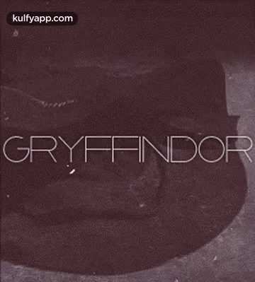 Gryfandor.Gif GIF - Gryfandor Clothing Apparel GIFs
