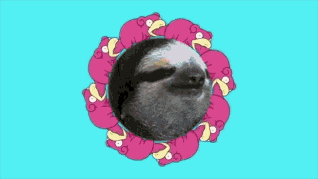 Slothpoke GIF - Slothpoke GIFs
