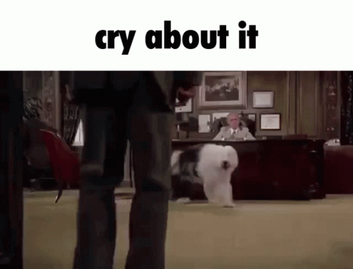 Cry About It Meme GIF - Cry About It Meme Dog GIFs