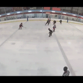 a group of hockey players are playing on a rink