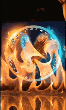 a symphony of phoenix logo with a phoenix in the middle