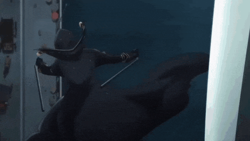 a person holding a sword with the letter d on the back