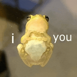 a frog is sitting on a glass with the words `` i love you '' written on it .