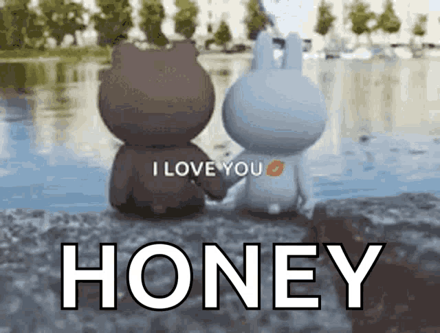 a brown bear and a white rabbit holding hands in front of a body of water with the words i love you honey below them