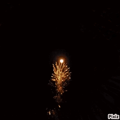 Liberty Fireworks GIF - Liberty Fireworks GIFs