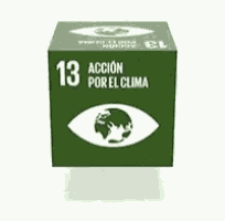 a green cube with two eyes on it and the number 13 on it