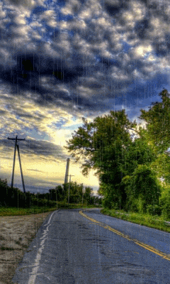 a road with trees on the side and rain falling
