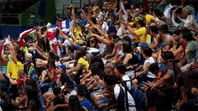 a crowd of people sitting in a stadium holding flags
