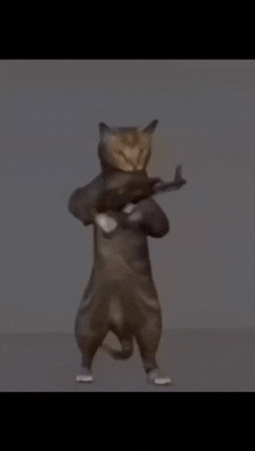 a cat is holding a gun on its shoulder