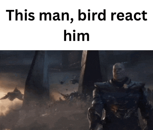 a man in a suit is standing in front of a crowd of people and a bird is flying in the background .