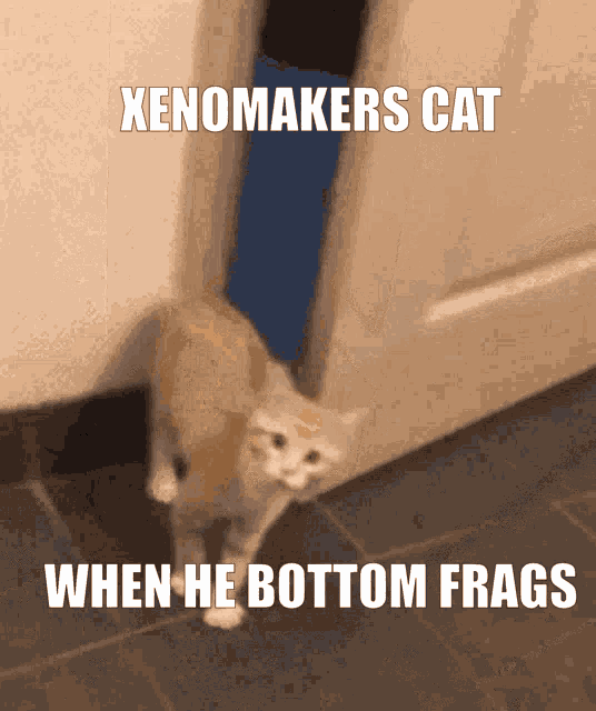 Xenomaker Bottom Frag GIF - Xenomaker Bottom Frag Valorant GIFs