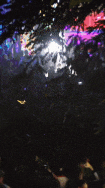 a crowd of people gathered in a dark room with trees in the background