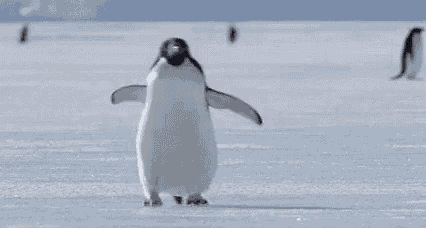 a penguin is standing on top of a snow covered field with other penguins in the background .