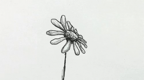 Flower Grunge GIF - Flower Grunge Daisy GIFs