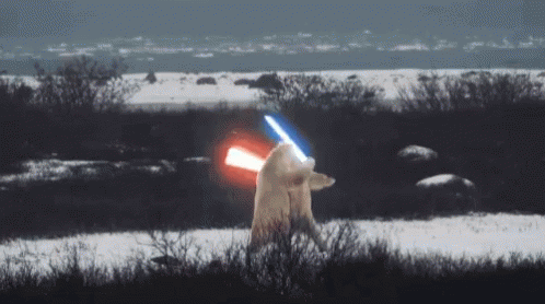 Polar Bear Light Saber GIF - Polar Bear Light Saber GIFs