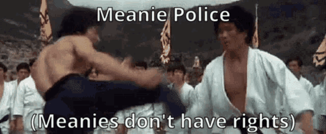 Meanie Bruce Lee GIF