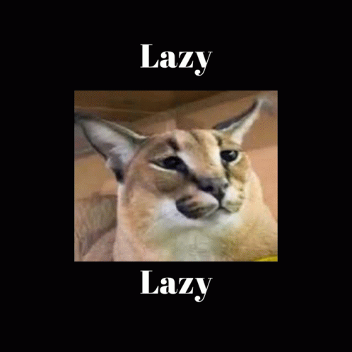 Lazy GIF