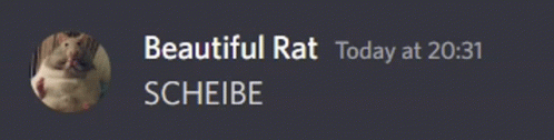 Rat Saying Scheibe GIF - Rat Saying Scheibe GIFs