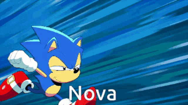 a cartoon of sonic the hedgehog says nova