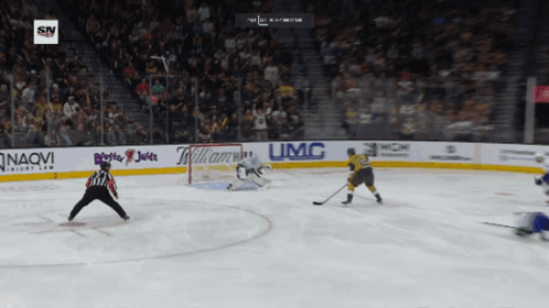 Dewhoops Desmith GIF - Dewhoops Desmith Canucks GIFs