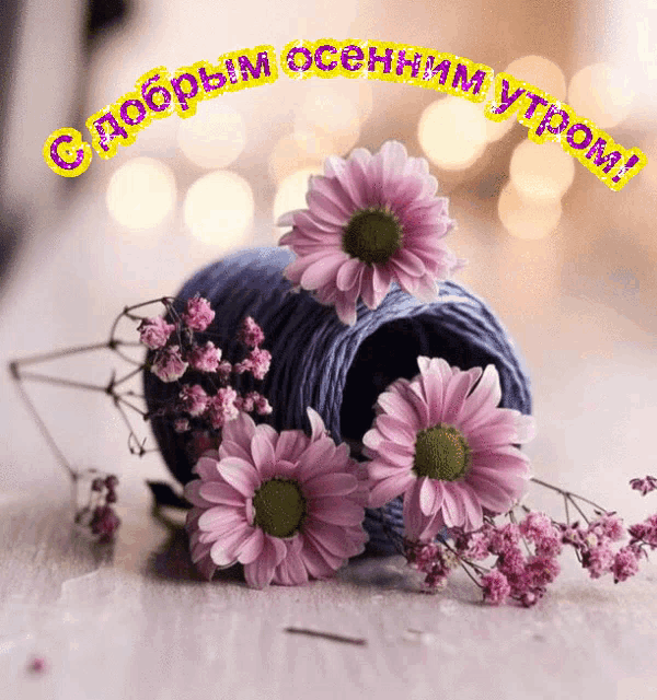 a bunch of purple flowers are sitting on a table with the words good morning in russian
